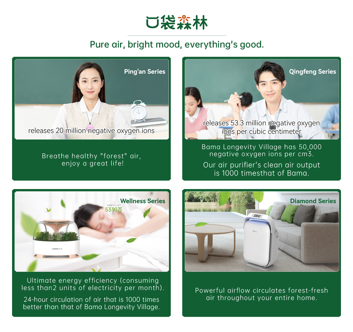 口袋森林-纯英文.jpg